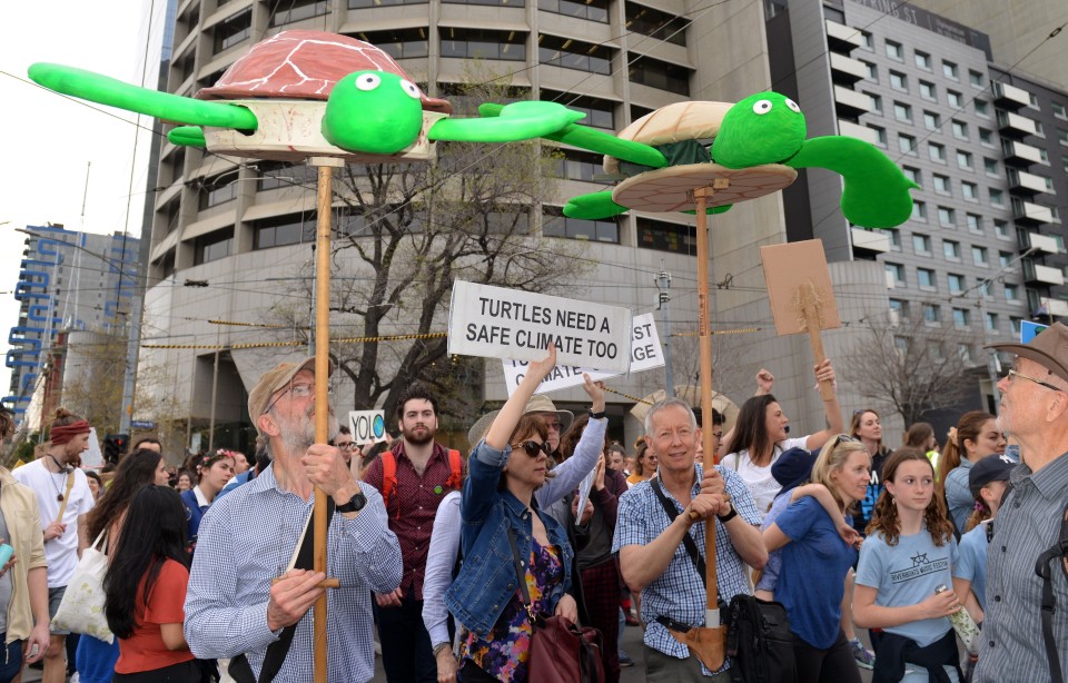 Two turtles at a climate rally.